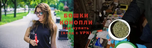 молекула духа Магас
