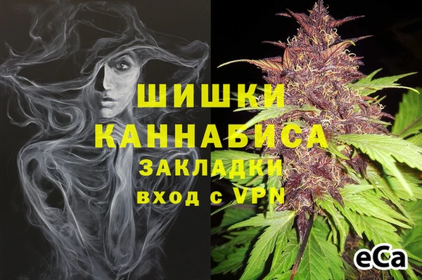 молекула духа Магас