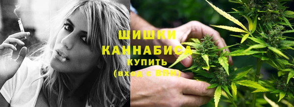 молекула духа Магас