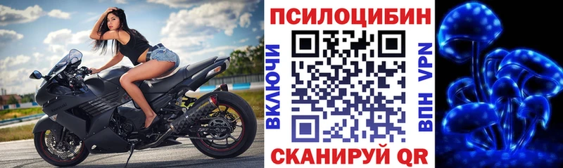 кракен маркетплейс  Тайшет  Псилоцибиновые грибы GOLDEN TEACHER 