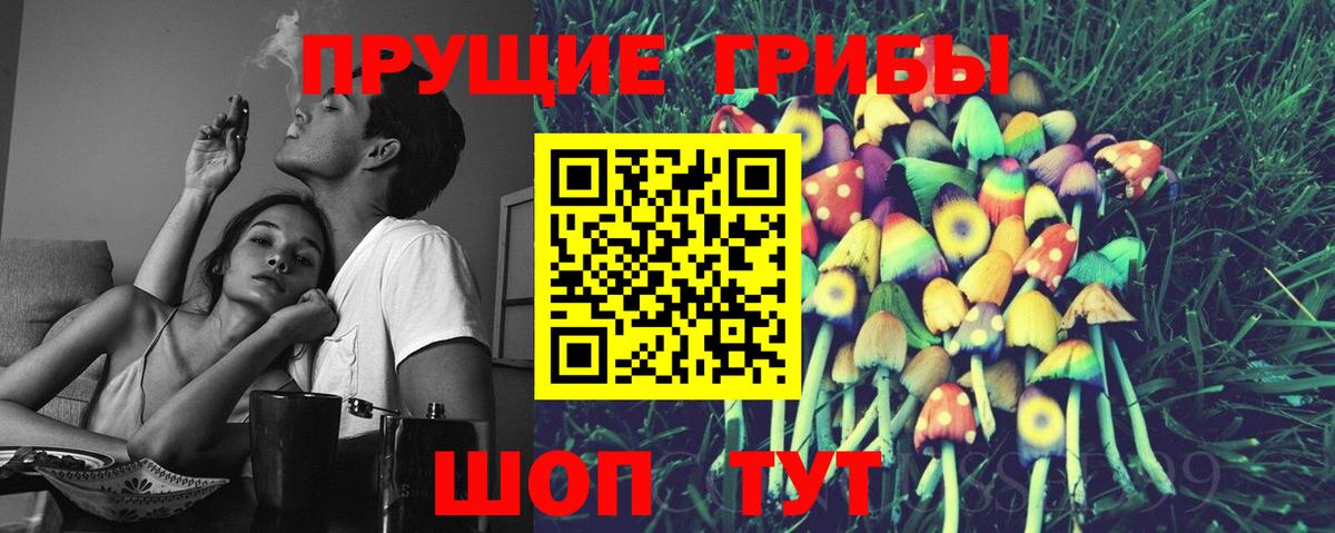 купить закладку  Вход с VPN  Галлюциногенные грибы GOLDEN TEACHER  Тайшет  Галлюциногенные грибы Psilocybine cubensis 